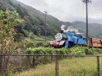 日本茶が彩るアウトドアの朝時間